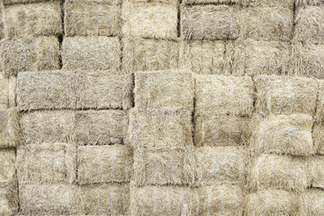Piles of straw