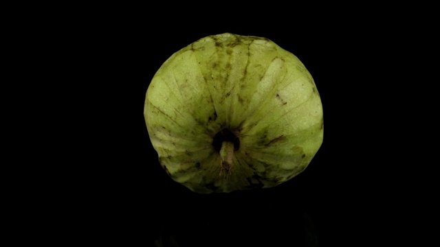 Fresh Custard Apple isolated on black background