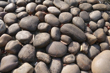 Large pebble stone background