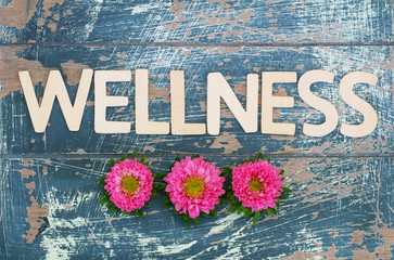 Wellness written with wooden letters on rustic surface and pink daisy flowers
