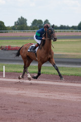 Course de trot monté © Pascal Cointe