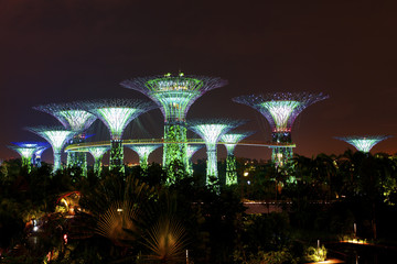 Gardens by the Bay in Singapore by night