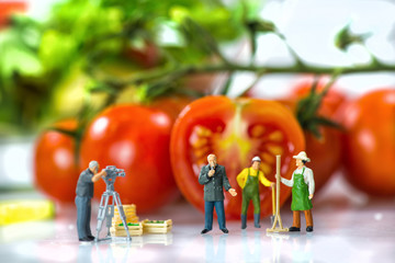 TV crew making reportage with farmers (figurines)