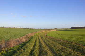 Obraz premium bridleway in winter