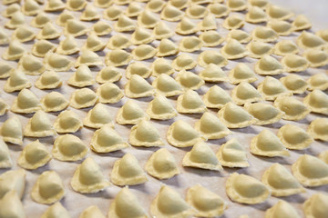 Polish dumplings on a canvas background.