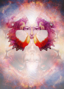 painting mighty lion head on ornamental background and mystic woman face with butterfly wings, computer collage.