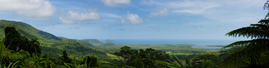 Fototapeta na wymiar Rainforest panorama