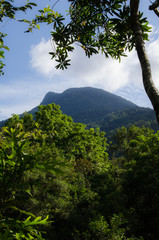 Fototapeta na wymiar Mountain over the rainforest