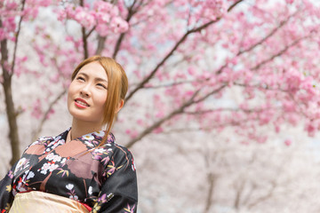 着物を着た女性と桜