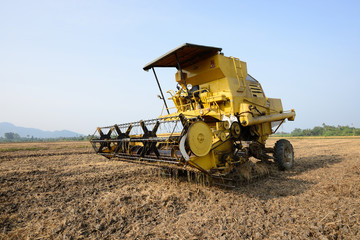 Fototapeta na wymiar Rice Tractor