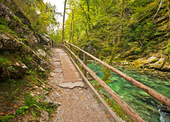 Vintgar gorge and wooden path,Bled,Slovenia