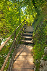 Obraz premium Vintgar gorge and wooden path,Bled,Slovenia