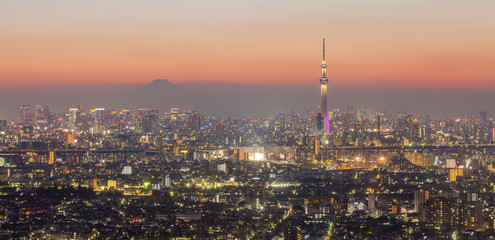 Tokyo city view and mountain fuji..