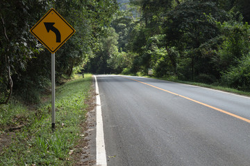 The road in the forest
