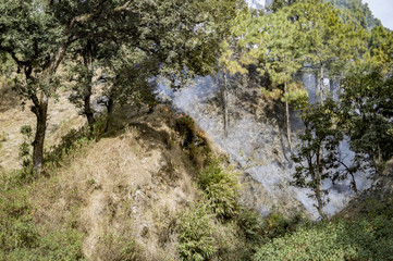 Smoke filled forest in hills