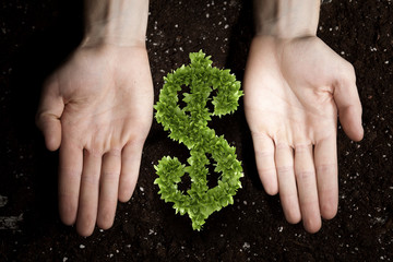 Rich soil for your income