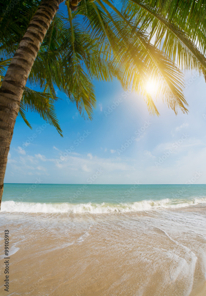 Wall mural tropical beach with coconut trees