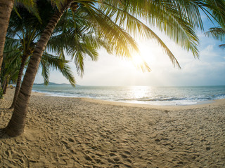 Naklejka na ściany i meble Tropical beach with coconut trees