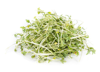 Garden Cress (isolated on white)