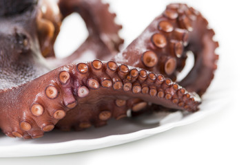 boiled octopus