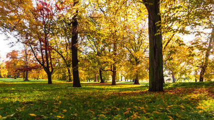 laubb&auml;ume im herbst
