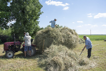Hay. In the summer on the man with a child sitting on the tracto
