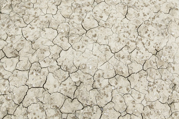 Dry soil by drought