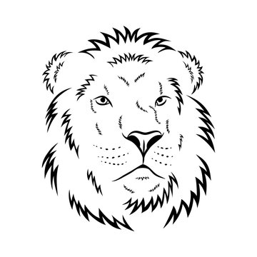 Lion head - vector illustration
