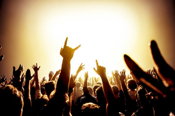 cheering crowd at a rock concert