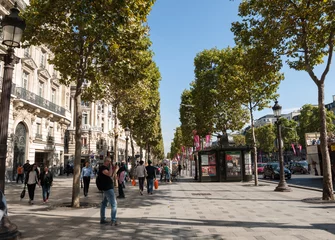 Foto auf Glas Die Champs-Elysees ist die berühmteste Avenue von Paris und ist voll von Geschäften, Cafés und Restaurants. Paris, Frankreich © wjarek