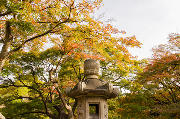 Japanese garden with a lantern.autumn.