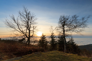 Sonnenuntergang auf der Hornisgrinde