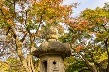 Japanese garden with a lantern.autumn.