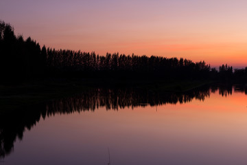silhouette and refrect tree sunset