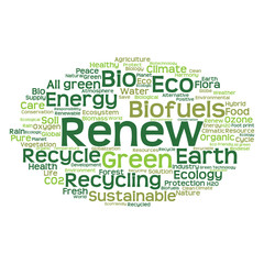 Conceptual ecology word cloud isolated
