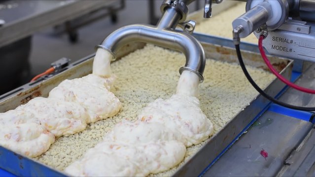industrielle Herstellung von Kuchen in einer Gro&szlig;b&auml;ckerei - Fliessband zur F&uuml;llung von Backblechen mit Schmand und Fr&uuml;chten