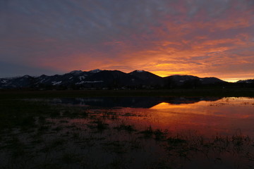 Obraz premium Sonnenuntergang mit Spiegelung nahe den Alpen