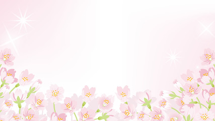 Fototapeta na wymiar Cherry Blossom frame -below