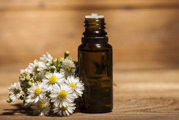 Chamomile Essential Oil