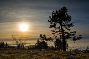 Schwarzwald - Hornisgrinde