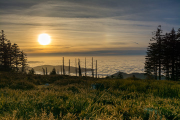 Fototapeta premium Schwarzwald - Hornisgrinde