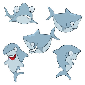 Set of cute sharks for you design. Cartoon 