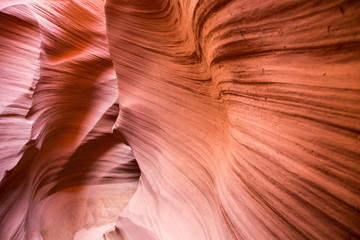 Antelope Canyon, Schlucht, Sandstein, Lake Powell, USA, Utah, Page, Tag, Sommer