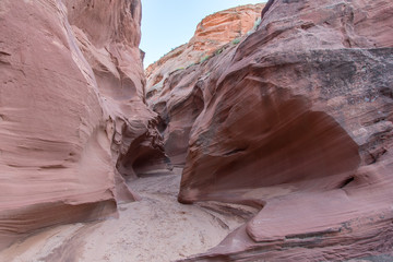 Water Holes Canyon, Schlucht, Sandstein, Lake Powell, USA, Utah, Page, Tag, Sommer