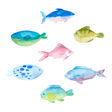Watercolor fishes on a white background. Vector set.