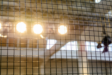 Bright floodlights attached to a steel frame. Horizontal view of