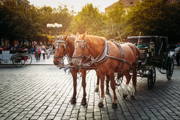 Fototapeta premium Old-fashioned Coach And Coachman At The Old Town Square in Pragu