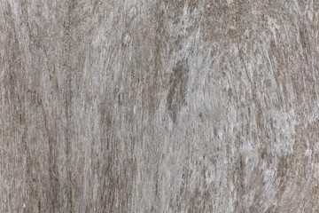 Old wood texture and background