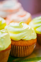 Dessert Sweet Gourmet Cupcakes With Multi-colored Frosting