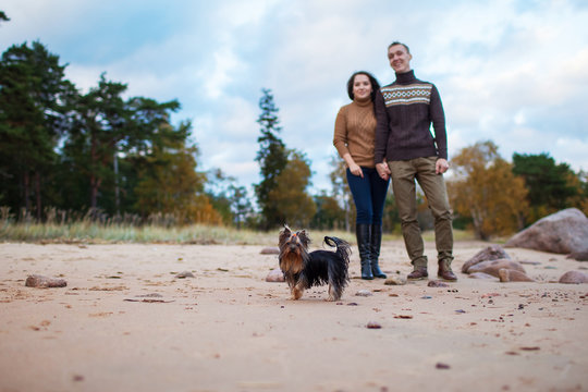 Young Couple With A Dog Walking On The Rocky Beach